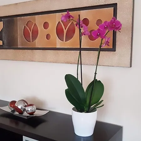 فيلة Nancy Tenerife Sur